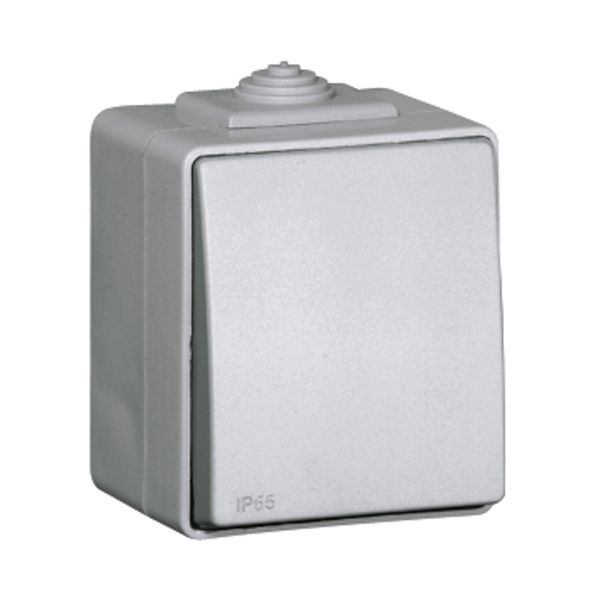 ROCKER PUSH-BUTTON GREY image 1