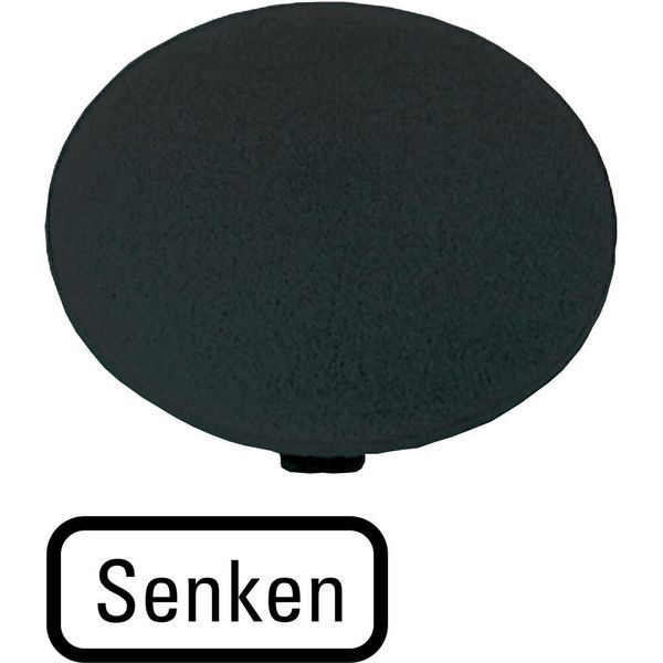 M22-XDP-S-D18 Button plate, mushroom black, DECREASE image 2