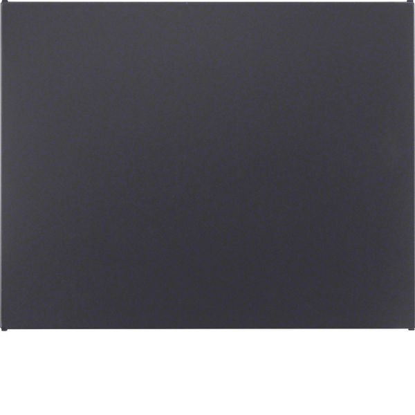 Blind plug for bus coupling unit, KNX - K.1, ant. matt, lacq. image 2