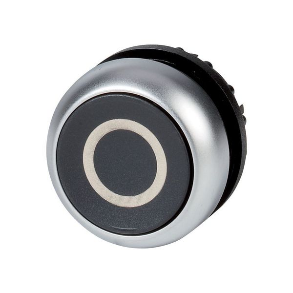 M22-DR-S-X0 Pushbutton, RMQ-Titan, Flat, maintained, black, inscribed, Bezel: titanium image 4