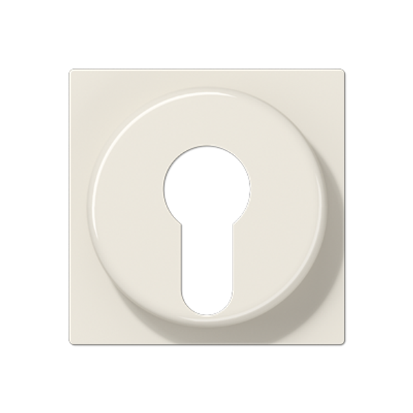 Cover plate f. key switch A528PL image 5
