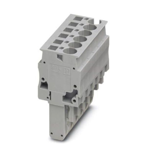 SP 4/15 - Plug image 2