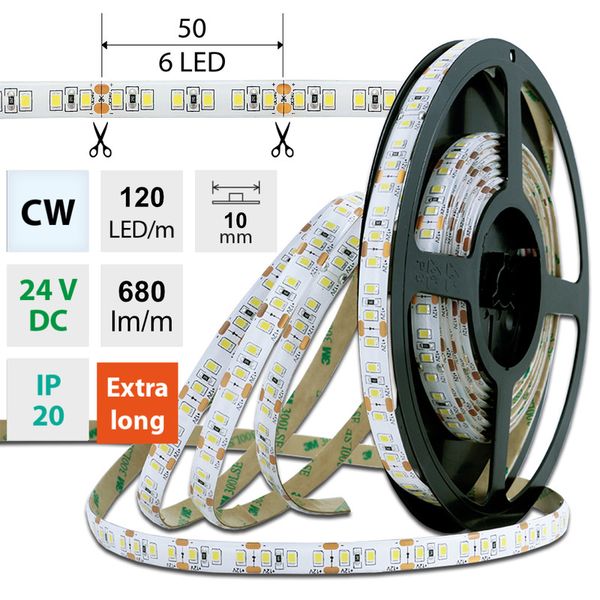 LED strip SMD2835 CW, 120LED/m, 7W/m, 680lm/m, IP20, DC 24V, 10mm, 10m image 1