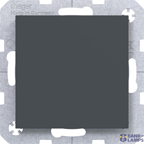 Blank plate with central plate, A.x/C.x, anthracite image 1