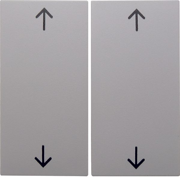 Rocker 2gang imprinted arrows symbol, S.1/B.3/B.7, p. white glossy image 1