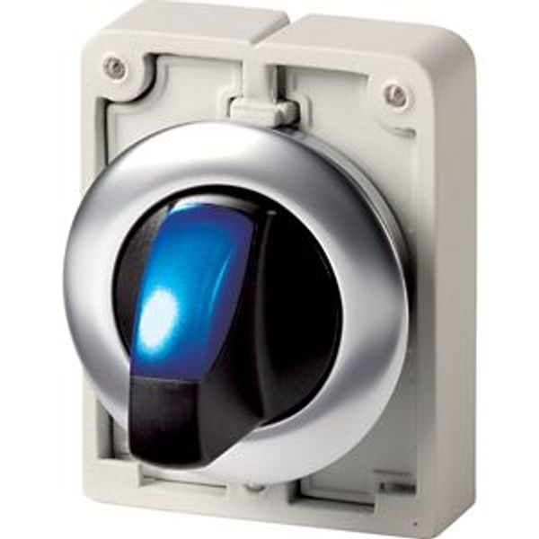 M30I-FWLK-B Illuminated selector switch actuator, RMQ-Titan, with thumb-grip, momentary, 2 positions, Blue, Front ring stainless steel image 2