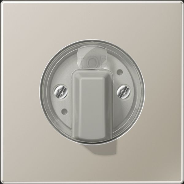 Centre plate ES1941 image 4