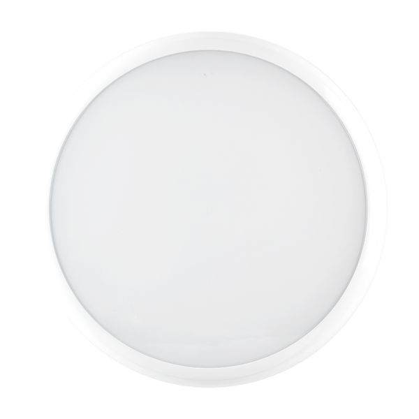 CLY 15 S/EW 830/40 WIT image 1