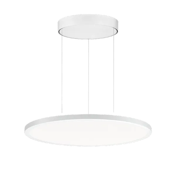 FL R+ 555 PL 23 S/B 840 WH9016 DALI OP image 1