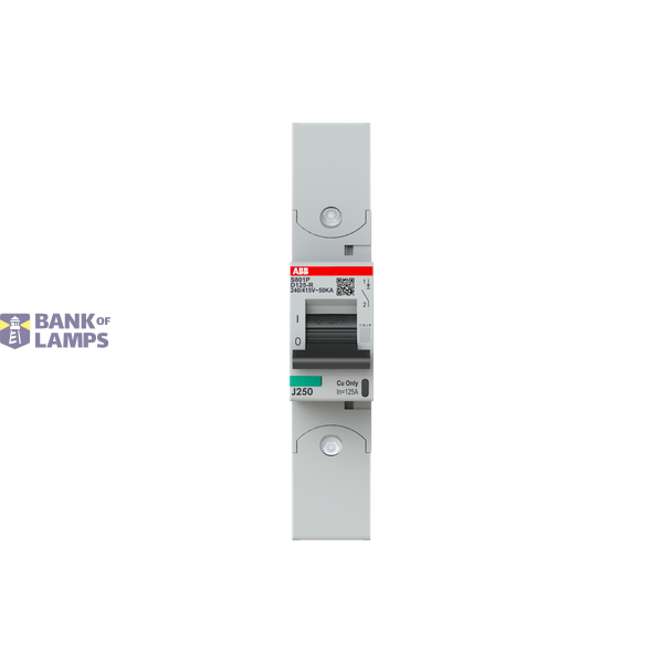S801P-D125-R circuit breaker image 1