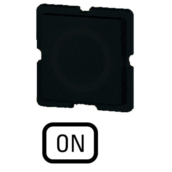 221TQ25 Button plate for push-button, Inscription: ON, 25 x 25 image 1