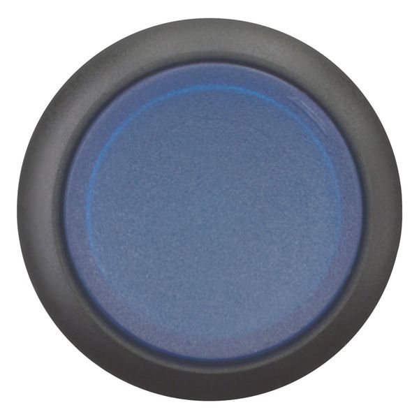M22S-DRLH-B Illuminated pushbutton actuator, RMQ-Titan, Extended, maintained, Blue, Blank, Bezel: black image 3