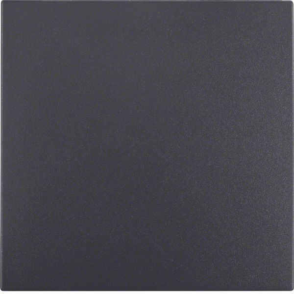 Rocker with fixing element IP44 S.1 anthracite matt image 1
