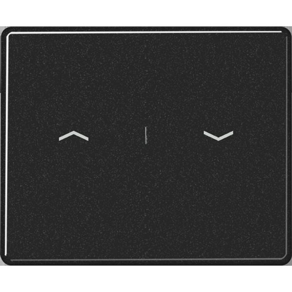 2-gang switch rocker image 3