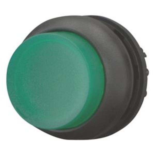 M22S-DLH-G Illuminated pushbutton actuator, RMQ-Titan, Extended, momentary, green, Blank, Bezel: black image 2
