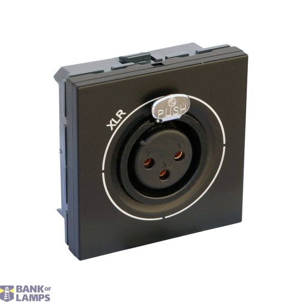 XLR female socket Mosaic 2 modules screw-type matt black image 2