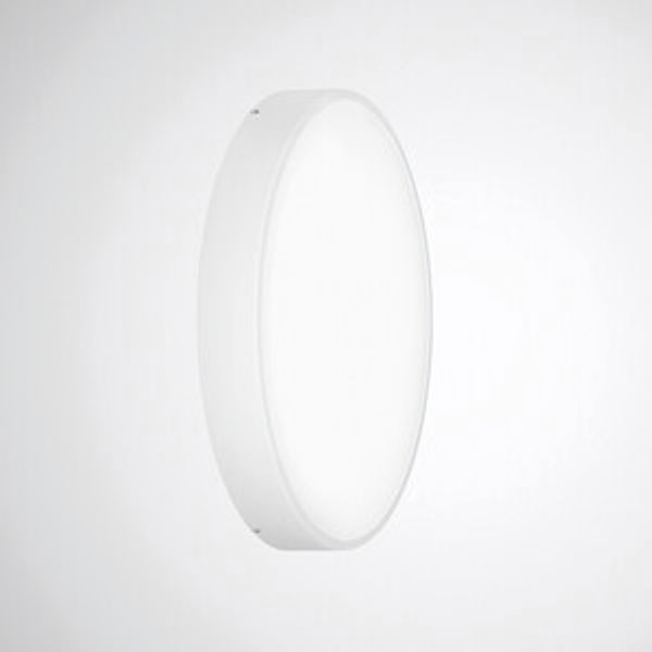 Mechanical accessories Olisq R 8226000 image 1