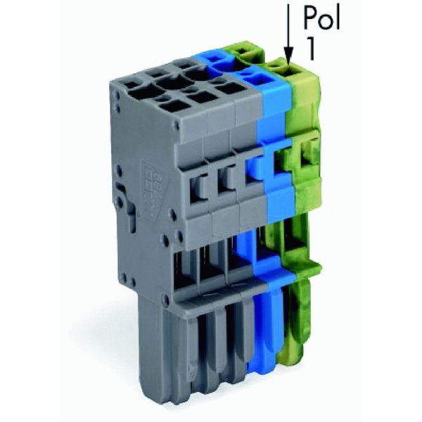 1-conductor female connector CAGE CLAMP® 4 mm² gray/blue/green-yellow image 2