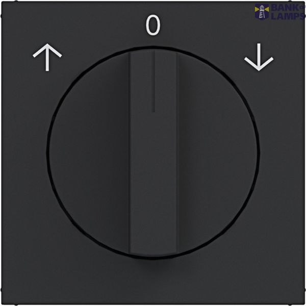 Central plate for blind rotary switch, A.x/C.x night black matte image 1