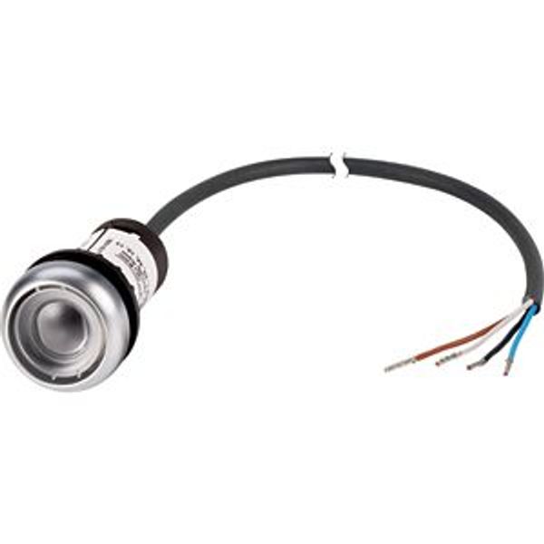 C22-DR-X-K01-P62 Pushbutton, classic, flat, maintained, 1 N/C, cable (black) with non-terminated end, 4 pole, 1 m image 5