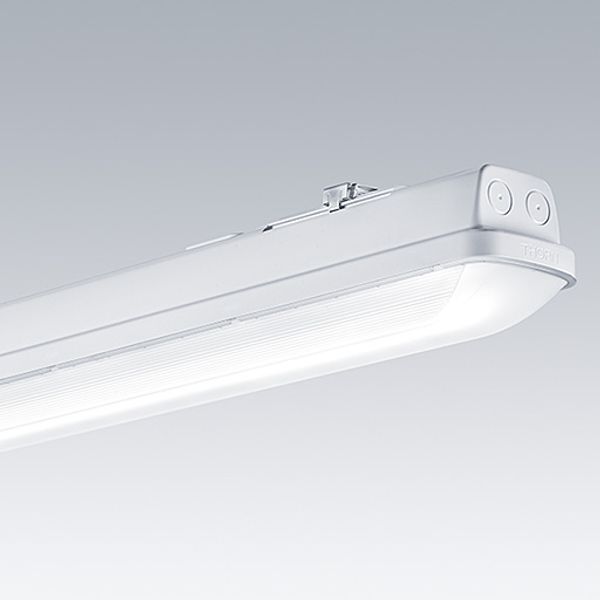 AQFPRO L LED6400-840 PM WB HF - LED waterproof luminaire image 1