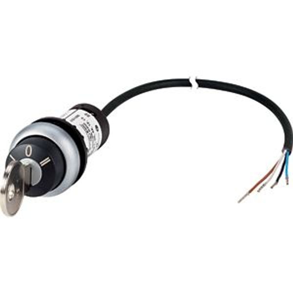 C22-WS3-MS1-K20-P62 Key-operated actuator, RMQ compact solution, momentary, 2 N/O, Cable (black) with non-terminated end, 4 pole, 1 m, 3 positions, MS1, Bezel: titanium image 2