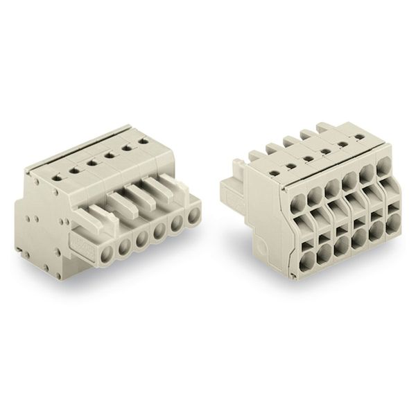 2-conductor female connector Push-in CAGE CLAMP® 2.5 mm² light gray image 3