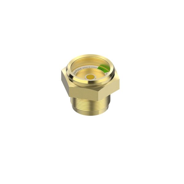SGRN Sight Glass M/10x6 image 1