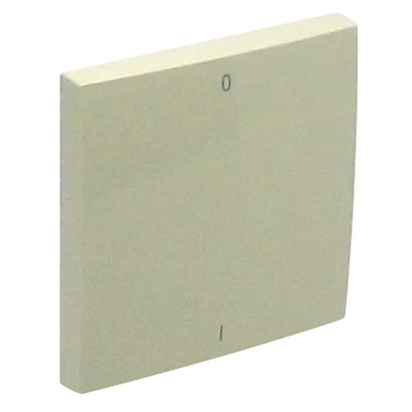 ROCKER F/TWO-POLE SWITCH IVORY image 1