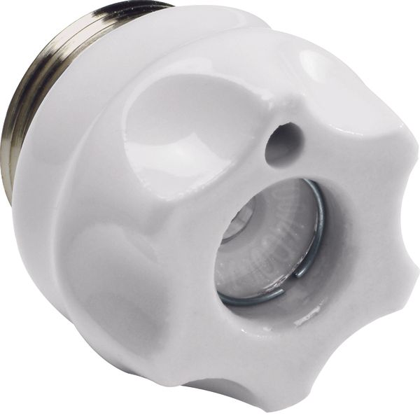 Screw caps D03 ceramics M30x2 100A with indicator hole image 1