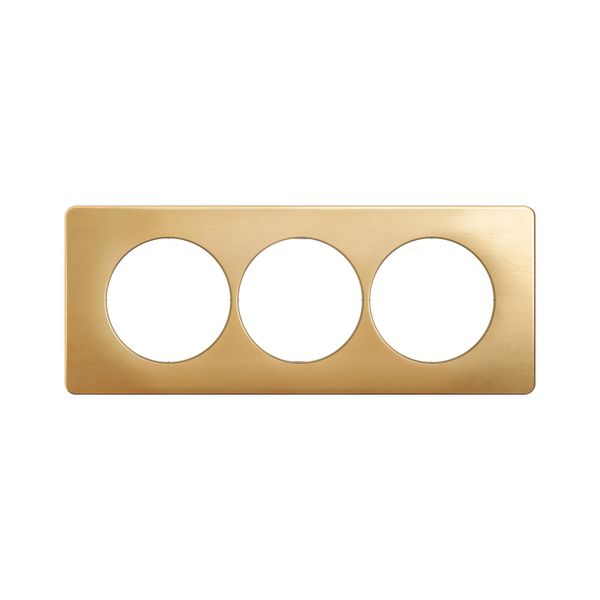 PLATE 3G 57MM SATIN BRASS image 4