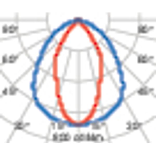 GUELL 2.5148 S/W 750 GR94 image 4