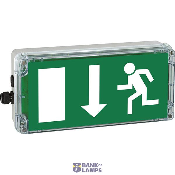Ex-escape sign luminaires EXIT for zone 1/21, Pictogram: EN 1838, Arrow: 6 Clock image 4
