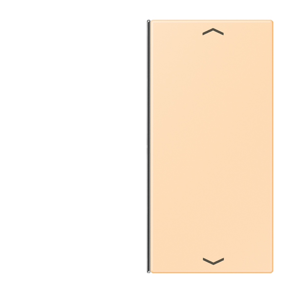 Cover 2-gang with symbols LC32060 LC402TSAP223 image 1
