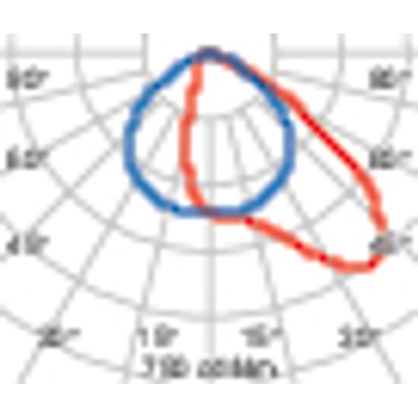 GUELL 2 102 A40/W 830 GR94 image 5