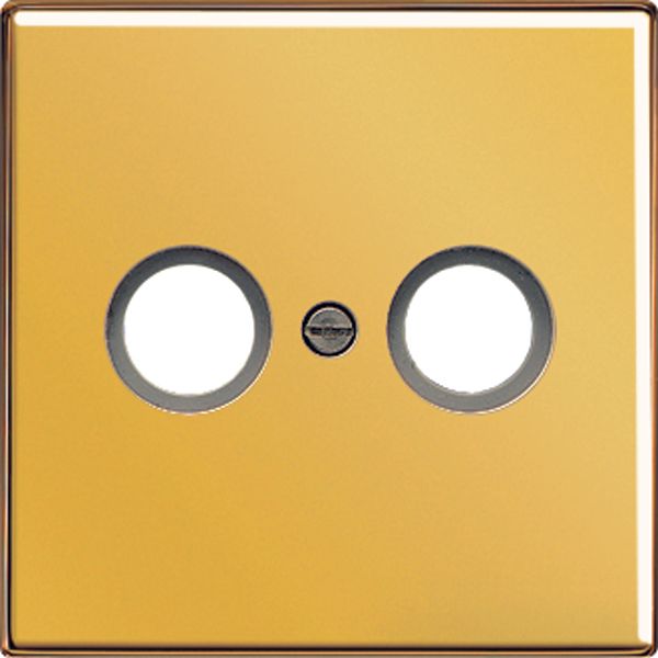 Centre plate for TV-socket GO2990TV image 1