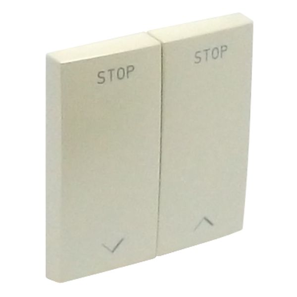 ROCKERS F/VENETIAN SWITCH PEARL image 2