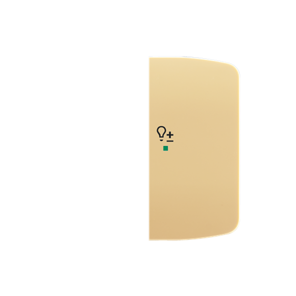 Rocker, 2gang right, with “Dimmer” icon image 1