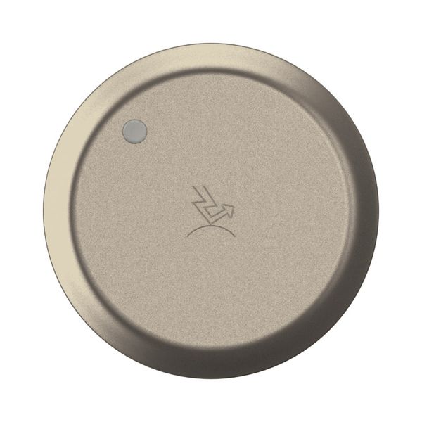 SURGE PROTECTOR ROCKER TITANIUM image 4