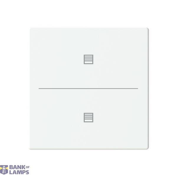 ESP RF module 311421 image 1