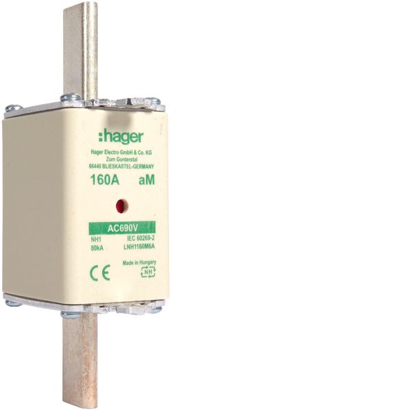NH fuse NH1 690V aM 160A twin indicator live gripping-lug image 1