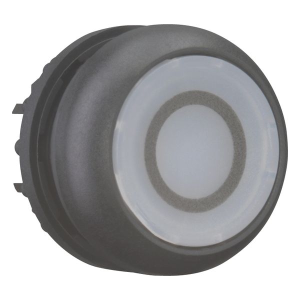 M22S-DRL-W-X0 Illuminated pushbutton actuator, RMQ-Titan, Flush, maintained, White, inscribed 0, Bezel: black image 7