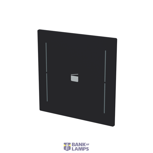LFS/A.1.70.1-45M Cover plate with legend with Symbol "scene" black matt - Trevion® image 2