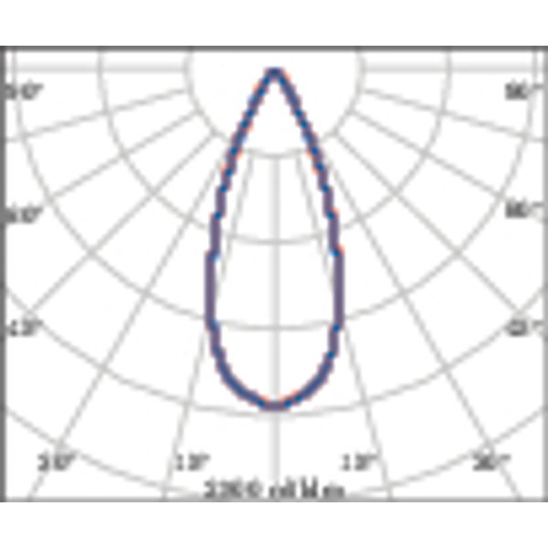 B10 20.5 S/M 930 WIT DALI2 image 4