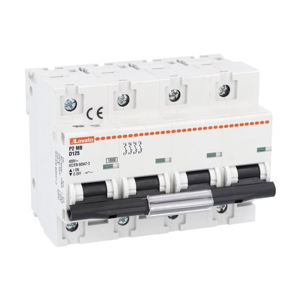 Miniature circuit breaker, 1P, 2P, 3P and 4P - 10kA, characteristic D, 125A image 1