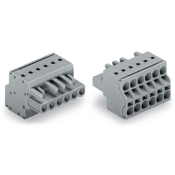 2-conductor female connector Push-in CAGE CLAMP® 2.5 mm² gray image 3