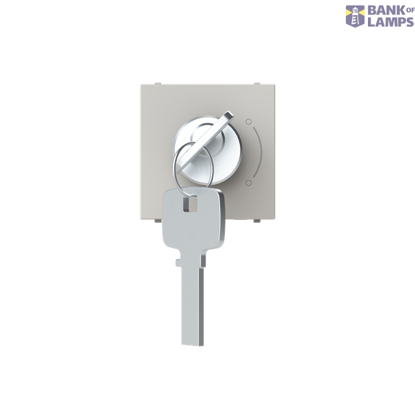 Key switch 2 positions - 2M - Dune image 1