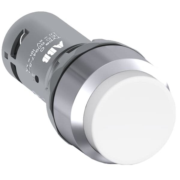 CP3-30W-11 Pushbutton image 5