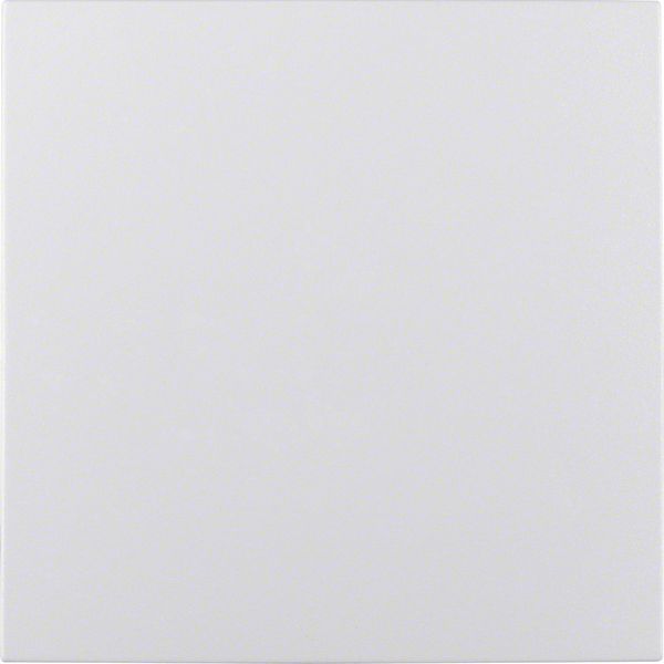 Blind plug for bus coupling unit, KNX - S.1/B.3/B.7, p. white, matt, p image 3