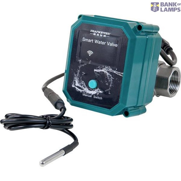 FrankEver Smart water valve DN15 image 1